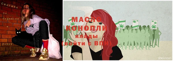 стафф Ельня
