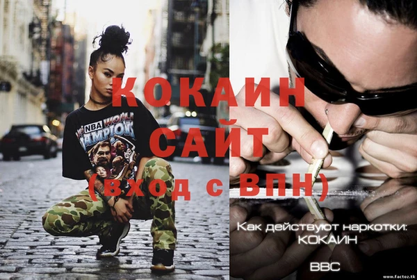 стафф Ельня