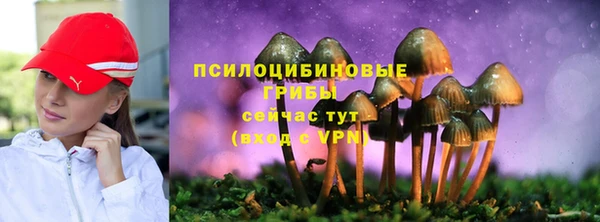 стафф Ельня