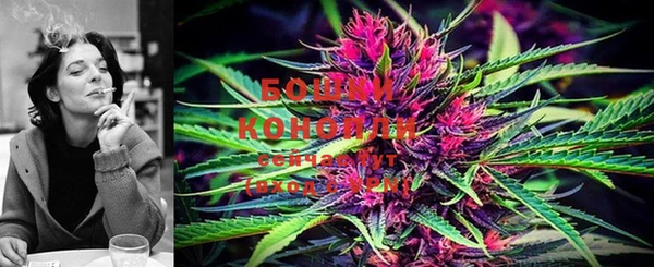 стафф Ельня