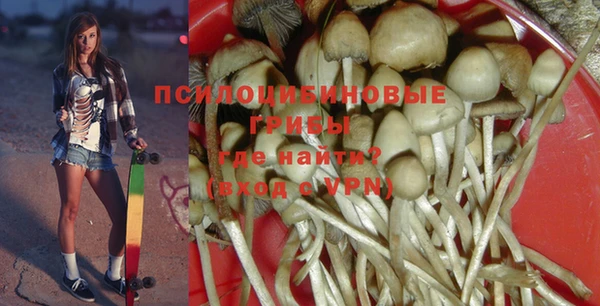 стафф Ельня