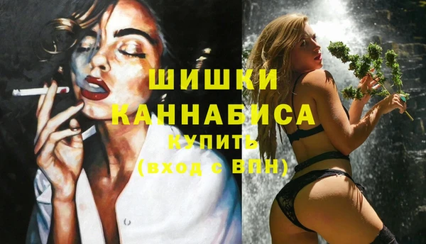 стафф Ельня