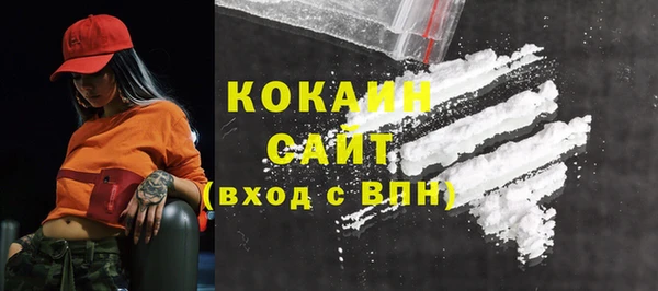 стафф Ельня