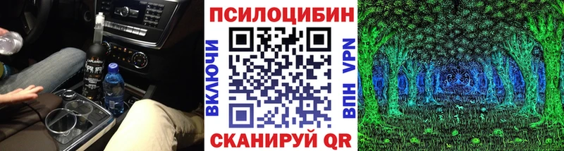 Купить закладки Бердск Псилоцибиновые грибы GOLDEN TEACHER